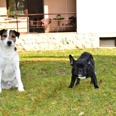 Apartmaji Koman Apartment Bled