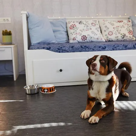 Apartmaji Koman Apartment Bled