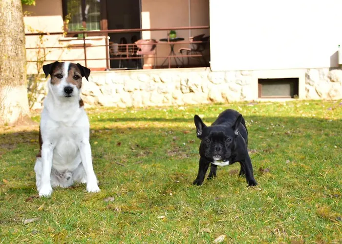 Apartmaji Koman アパート ブレッド