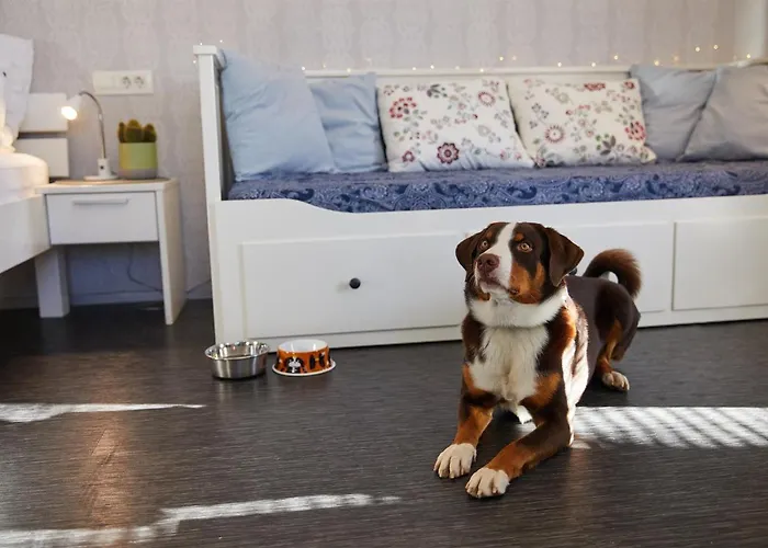 Apartmaji Koman Apartman Bled